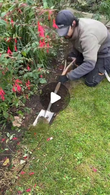 238K views · 13K likes | Lawn.Clips on Instagram: "Beautiful flowerbed renovation by the one and only @alexandersgardening 🙌🏼 You got to appreciate his attention for details! Follow @lawn.clips for more daily lawn care content 💚 . . . #garden #gardenbed #gardeninspiration #lawncareservice #lawncarebusiness #cleanup #gardenlover #lawncarecommunity" Flower Lawn Ideas, Lawn Renovation, Yard Cleanup, Lawn Care Business, Lawn And Landscape, Garden Lawn, House Beautiful, Garden Lovers, The One And Only