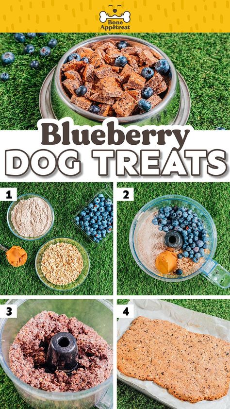 With just four ingredients, this homemade blueberry dog treats recipe is crunchy, healthy, and dogs love them! Just blend, shape, and bake into crispy perfection. Great for using as training rewards or as the occasional treat for your dog. Homemade Dog Treats For Puppies, Crunchy Dog Treats Homemade, Blueberry Dog Treat Recipe, Puppy Treats Homemade, Blueberry Dog Treats, Snacks For Dogs, Healthy Dog Snacks, Dog Treats Homemade, Dog Treats Recipe