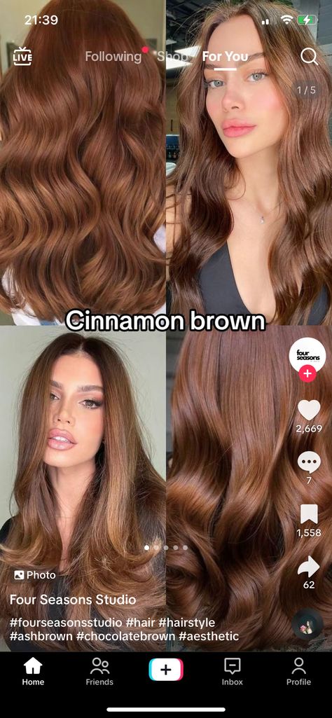 Hair Color For Warm Skin Tones, Cinnamon Brown Hair, Cinnamon Hair Colors, Cinnamon Hair, Brown Hair Looks, Brown Hair Inspo, Ginger Hair Color, Caramel Hair, Hair Color Auburn