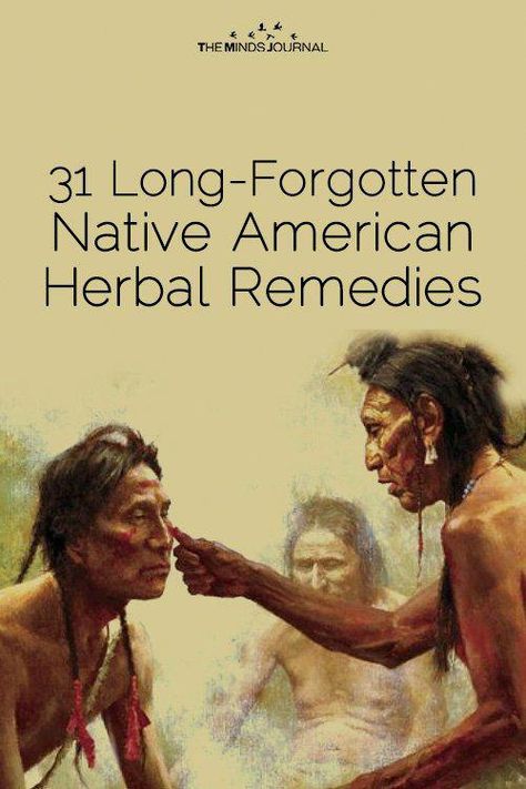 Natural Home Remedies, Native American Remedies, Herb Remedies, Natural Healing Remedies, Healing Plants, Herbal Healing, Herbs For Health, Healing Herbs, Natural Health Remedies