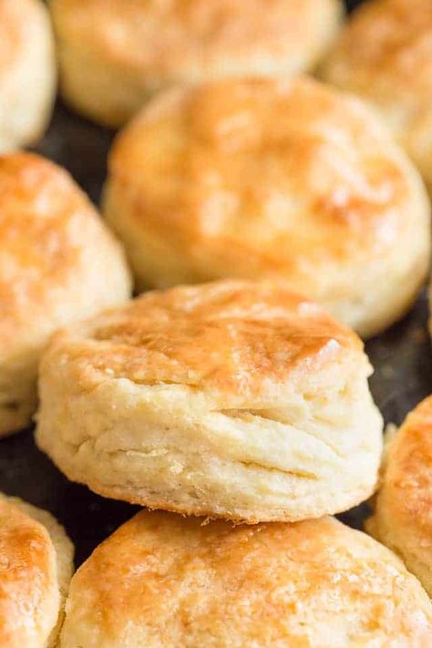 Honey Cream Cheese Biscuits with soft, flaky centers. #biscuits #creamcheese #honey Honey Cream Cheese, Cream Cheese Biscuits, Honey Cream, Cheese Butter, Biscuit Rolls, Cheese Biscuits, Biscuit Bake, Homemade Biscuits, Self Rising Flour