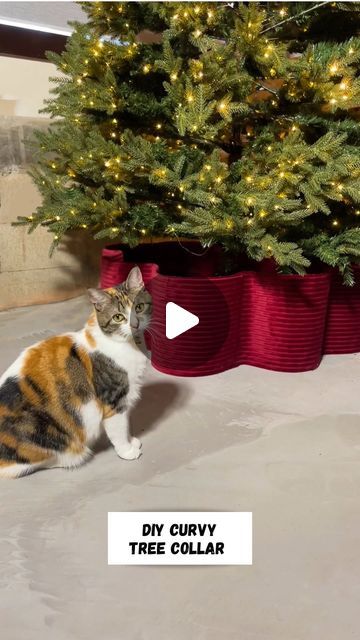 Emily Rayna on Instagram: "DIY curvy tree collar! I should patent this or something 

#christmasdecor #christmasdiy #diychristmasdecor #treecollar #diychristmas #holidaydecor #diycrafts" Emily Rayna, Cat Proof Christmas Tree, Small Space Christmas Tree, Tree Collar Christmas, Christmas Tree Collar, Christmas Tree Base, Christmas Collar, Cat Proofing, Collars Diy