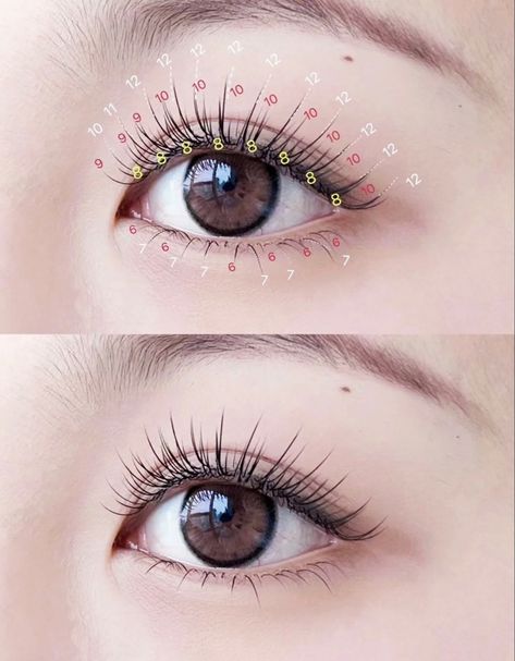 Japanese Lashes, Eyelashes Design, Lash Guide, Kutek Disney, Eyelash Technician, Day Makeup Looks, Natural Eyelash Extensions, Eyelash Extentions, Diy Eyelash Extensions