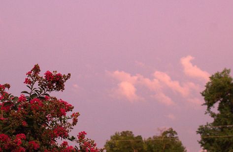 8/12/14 Clouds at sunset | 8/12/14 Storm Clouds at Twilight … | Flickr Back Ground, The Sky, Trees, Laptop, Purple, Flowers, Red, Pink