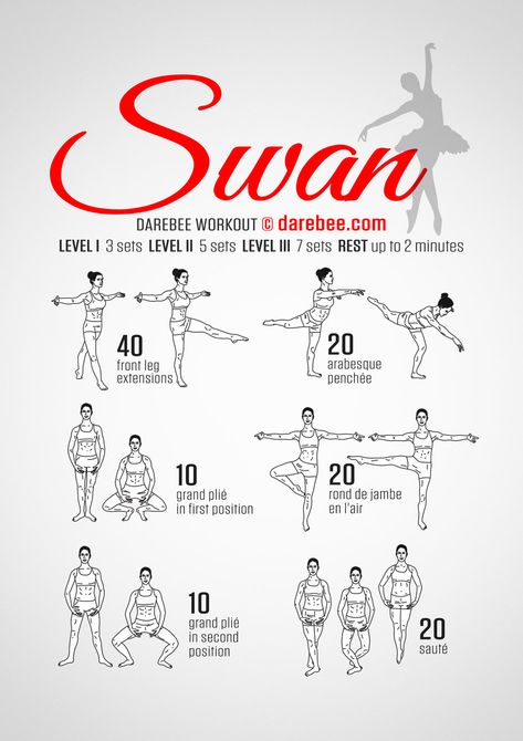 Darebee Workout, Ballet Basics, Quotes About Moving On In Life, Ballerina Workout, Ballet Stretches, 100 Workout, Ballet Technique, Quotes About Moving, Ballet Workout