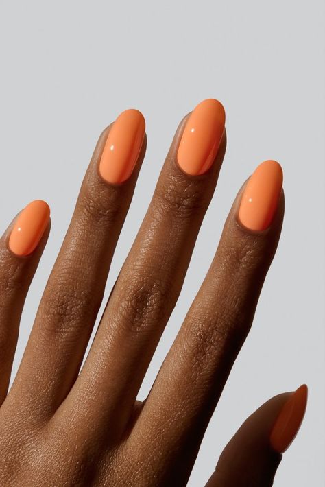 Summer 2024 Nails for Dark Skin: Trending Colors and Classy Designs Neon Coloured Nails, Summer Nails Inspiration Orange, Halloween Solid Color Nails, Pastel Orange Nails Peach, Cantaloupe Nails, Orange Creamsicle Nails, Spring Orange Nails, Soft Orange Nails, Simple Orange Nails