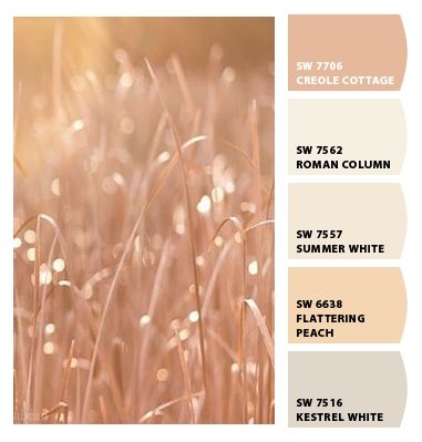 Sherwin Williams Peach, Creole Cottage, Peach Palette, Roman Columns, Paint Palette, Www Pinterest Com, White Summer, Sherwin Williams, Room Colors