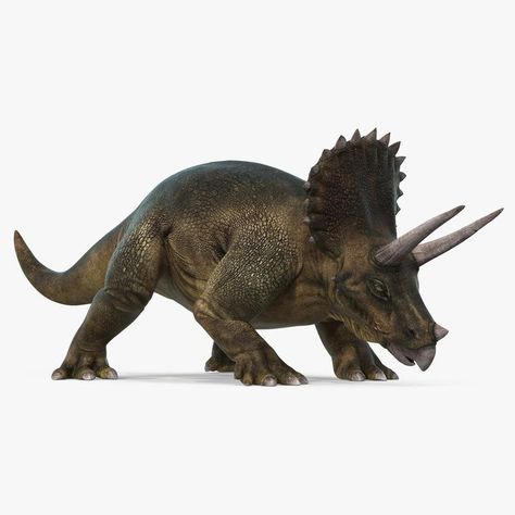 Triceratops Walking Pose 3D Model #AD ,#Walking#Triceratops#Model#Pose Dinosaur Photography, Battle Chess, Walking Pose, Graphic Design Portfolio Examples, Walking Poses, Black Label Society, Dinosaur Illustration, Owl Logo, Model Pose