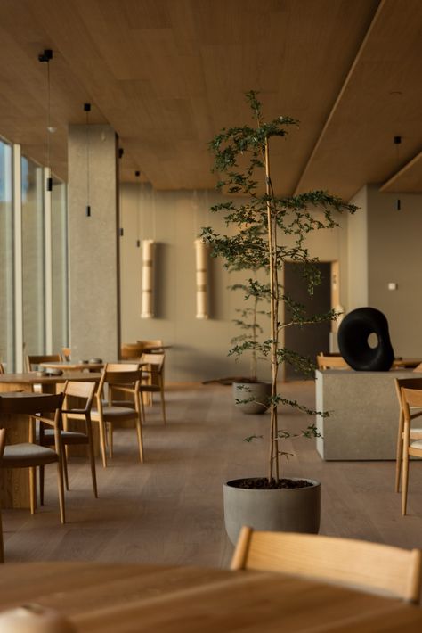 Japanese Furniture Design, Greenhouse Restaurant, Glass Building, Stone Counters, Soft Minimalism, Norm Architects, Brick Flooring, Acoustic Wall, Oak Furniture