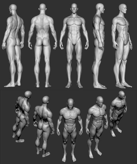 ArtStation - man body base, segu son Blender Body Reference, Man Muscle Anatomy, Figure Poses Men, Man Muscle Reference, Muscle Man Drawing Reference, Body Angles Reference, Anatomy Male Reference, Human Anatomy Reference Poses, Man Body Base