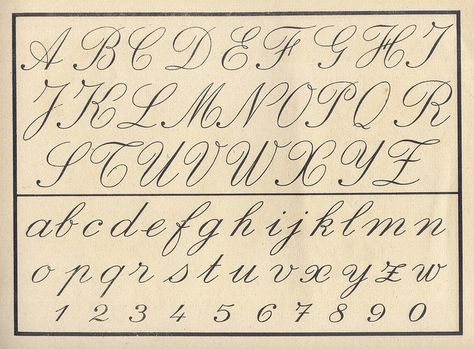 Vintage cursive alphabet~Unfortunately, Children do Not Learn this in School Anymore. No Penmanship Classes in Schools.  Did you ever see how Poorly they Write? Handwritten Alphabet, Vintage Cursive, Cursive Fonts Alphabet, Childrens Alphabet, Cursive Writing Worksheets, Cursive Alphabet, Alfabet Letters, Cursive Handwriting, Creative Lettering