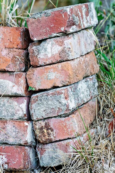 Don't trash those leftover bricks! We share some of our favorite ideas to put them to good use in the landscape and garden. Read more on Gardener's Path. #bricks #gardenprojects #gardenerspath Bricks In Garden, Leftover Bricks, Brick Garden Edging, Brick Garden, Garden Wallpaper, Outdoor Landscape, Have Inspiration, In Front Of House, Garden Yard Ideas