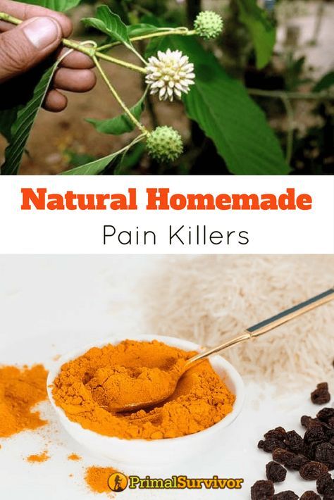 Natural Homemade Pain Killers for self sufficiency or when SHTF. #naturalpainkillers #homemade #DIY #shtf #selfsufficiency #primalsurvivor #naturalmedicine Survival Necessities, Feeding Newborn, Medical Remedies, Natural Pain Killers, Self Sufficiency, Child Nutrition, Shtf Preparedness, Back Pain Remedies, Herbal Apothecary