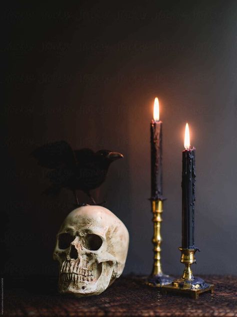 Blackened Teeth, Creepy Home Decor, Black Pillar Candles, Candles Black, Burning Rose, Large Scented Candles, Chesapeake Bay Candles, Candles Dark, Zodiac Candle