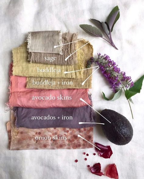 Diy Dye, Natural Dye Fabric, Eco Dyeing, Natural Dyeing, Botanical Dyeing, Plant Labels, Tie Dye Diy, Giant Paper Flowers, Eco Printing