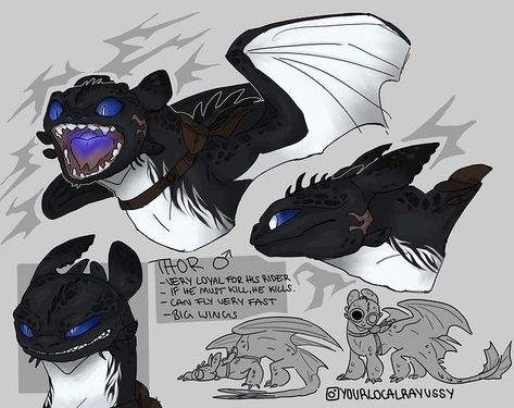 Mythical Creatures Drawings, Httyd Oc, Night Fury Dragon, Httyd Art, Dragon Oc, Train Dragon, Dragon Sketch, Httyd Dragons, Dragon Trainer