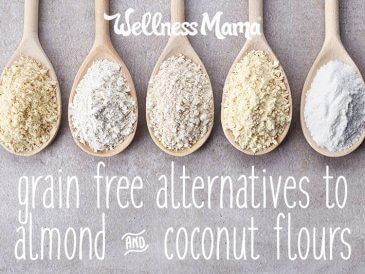 Other grain free alternaties to almond and coconut flour Lyme Diet, Vegetarian Tips, Natural Apothecary, Almond Flour Substitute, Almond Flour Pancakes, Grain Free Bread, Nourishing Food, Flour Substitute, Gf Flour