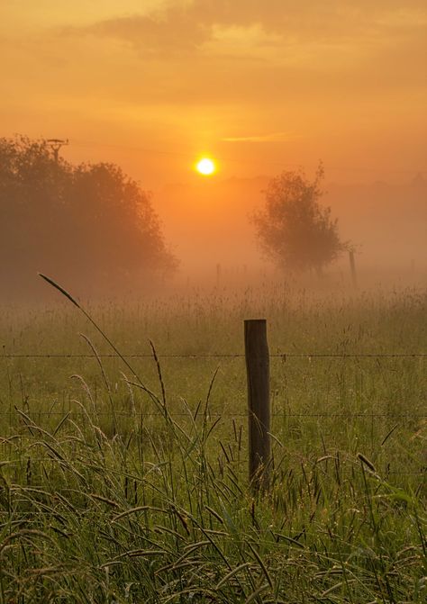 Foggy Sunrise Aesthetic, Morning Mist Aesthetic, Foggy Spring Morning, Mid Morning Aesthetic, Morning Fog Aesthetic, Morning Vibes Photography, Spring Morning Aesthetic, Foggy Morning Photography, Foggy Weather Aesthetic