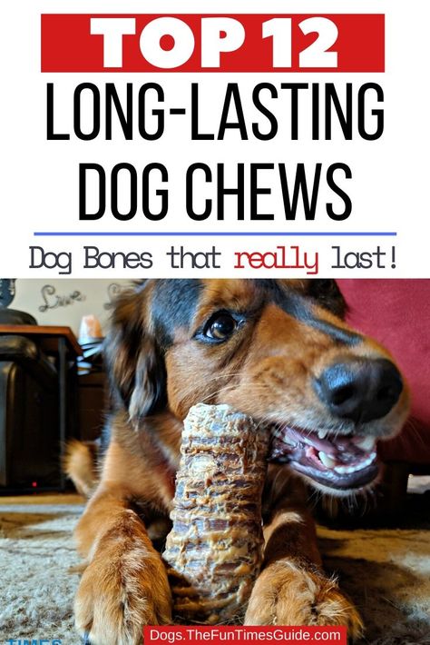 A Comparison Of 12 Of The Best Long Lasting Dog Chews: Elk Antlers, Cow Hooves, Bully Sticks, Himalayan Chews, Pressed Rawhide & More! How To Make Rawhide Dog Chews, Himalayan Dog Chew Recipe, Homemade Bully Sticks For Dogs, How To Make Dog Chews, Homemade Dog Chews Bones, Diy Dog Chew Treats, Homemade Dog Chew Sticks, Dog Chew Toys Homemade, Diy Long Lasting Dog Chews