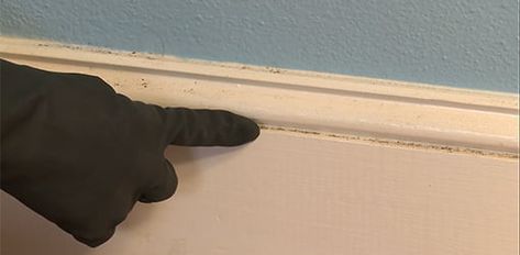 Here's how to clean baseboards with household materials. Watch the video. Clean Baseboards, Baseboard Cleaner, Homeowner Tips, Liquid Fabric, Liquid Fabric Softener, Cleaning House, Decorative Mouldings, Cleaning Recipes, Household Tips