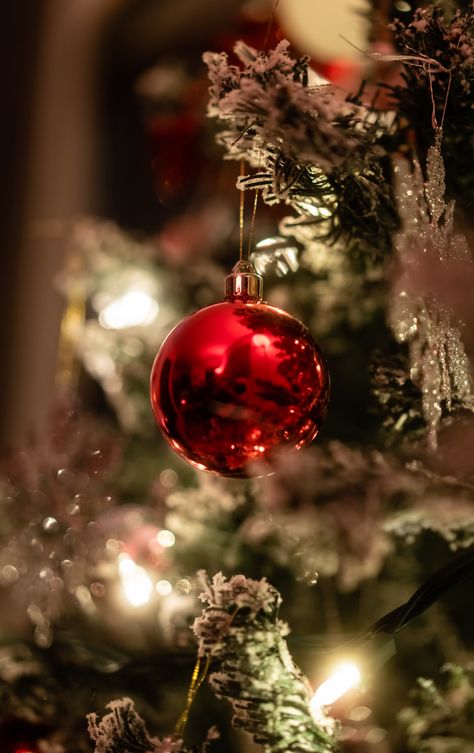 Christmas Tree Photo, Christmas Tree Photography, Crafts By Season, Snow Theme, Picture Ornaments, Christmas Balls Decorations, Tree Photo, Wallpaper Girly, Holiday Photography