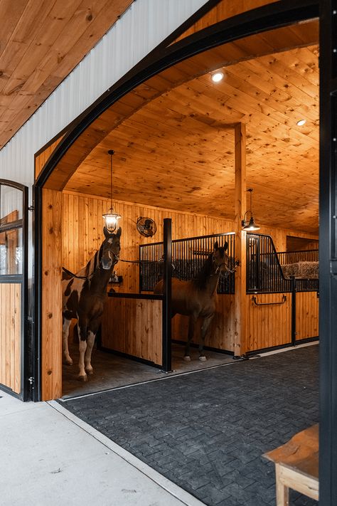 British Horse Stables, Small Stall Design, Home Stables, Horse Barn Interior, Horse Stall Doors, House With Stables, Horse Stall Fronts, Horses Stables, Luxury Horse Barns