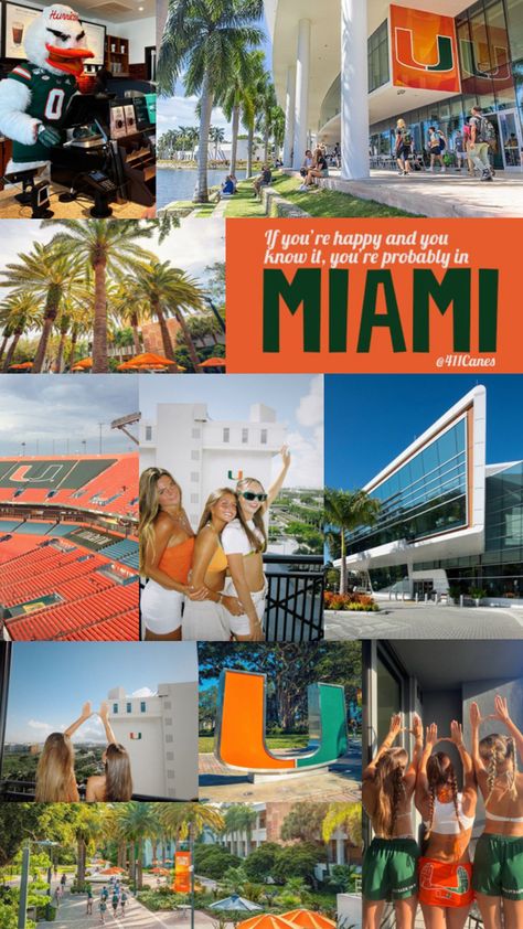 U Miami, U Of Miami, Miami College, Colleges In Florida, Hello Kitty Rooms, Miami Life, Strict Parents, Dream College, Dream School