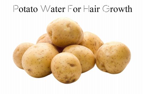 Potato Water For Hair Growth - A Scalp And Hair Recipe  Read the article here - http://www.blackhairinformation.com/growth/hair-growth/potato-water-for-hair-growth-a-scalp-and-hair-recipe/ Potato Water, Harvest Potatoes, National Potato Day, Garden Knowledge, Potato Growing, Potato Bin, Wheat Belly Recipes, Crazy Kitchen, Raw Potato