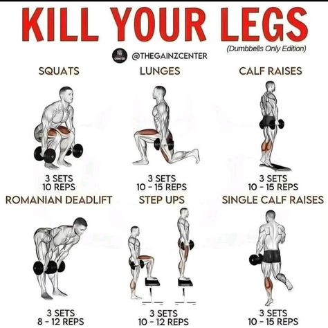 Get a strong, toned lower body with these 10 best leg exercises. #legworkout #legexercises Weightlifting Workouts Training Programs, Plan Workout Routines, Weightlifting Workouts, Weekly Gym Workouts, Weight Training Plan, Aerobic Exercises, Leg Workouts Gym, Flexibility Exercises, Plan Workout