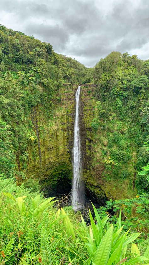 📍’akaka falls, hawaii Akaka Falls Hawaii, Akaka Falls, Hawaii Waterfalls, Places Ive Been, Hawaii, Collage, Iphone, Water, Travel