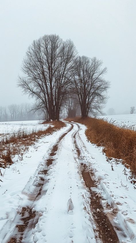 "Snowy Country Road: A tranquil snowy country road winds between bare #nature and frosted #landscape on a foggy winter day. #snowdrifts #photography #scenery #travel #passtime ⬇️ Download and 📝 Prompt 👉 https://stockcake.com/i/snowy-country-road_1028351_331478". Snowy England, Acadia National Park Winter, Snowy Aesthetic, Watercolor Reference, Foggy Winter, Landscape References, Photography Scenery, Snowy Road, Winter Landscape Photography