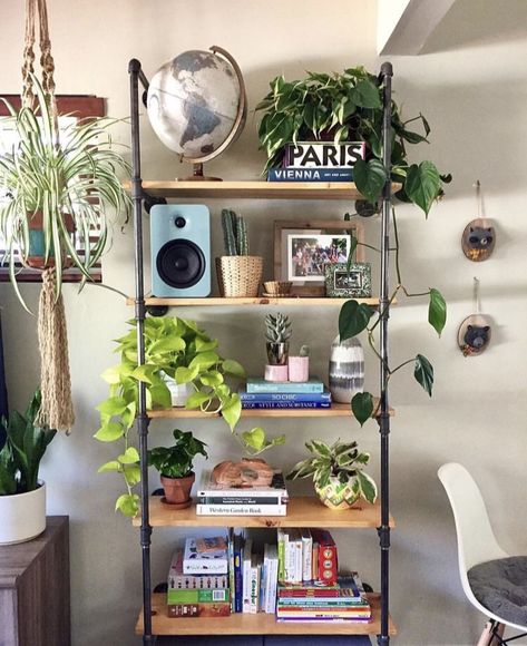 Interior Boho, Decorating Bookshelves, Indoor Trees, House Plant Care, Home Trends, Ferm Living, A Shelf, Decorating Coffee Tables, Home Decor Tips