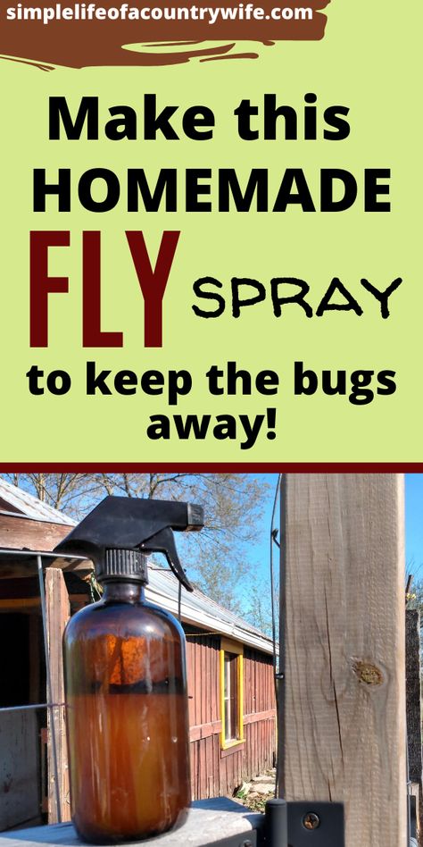 Fly Trap Homemade Outdoor, Homemade Fly Spray For Home, Homemade Fly Repellent, House Fly Repellent, Homemade Fly Traps Outdoor, Diy Fly Repellent Indoor, Fly Spray For Yard, Fly Spray For Home, Natural Fly Repellant Home