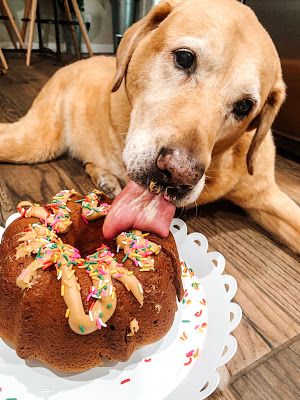 Peanut Butter Dog Cake, Puppy Birthday Cakes, Dog Birthday Cake Recipe, Dog Cake Recipes, King Cake Recipe, Pet Treats Recipes, Peanut Butter For Dogs, Dog Biscuit Recipes, Healthy Dog Treats Homemade