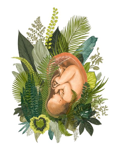 The Language of Birth • By Stepha Lawson. Birth Art, Birth Inspiration, Pregnancy, Feminine Wisdom, Goddess, Baby, Birth, Midwife Art, Pregnancy Art, Baby Art, Botanical Illustration, Baby Shower, Nursery Room, Labor, Labor and Delivery, Womb, Womb Art, Uterus, Prints for Sale, Tropical, Tropical Illustration Birth Inspiration, 가족 일러스트, Birth Art, Pregnancy Art, Tropical Illustration, Belly Painting, Baby Wallpaper, Baby Art, Anatomy Art