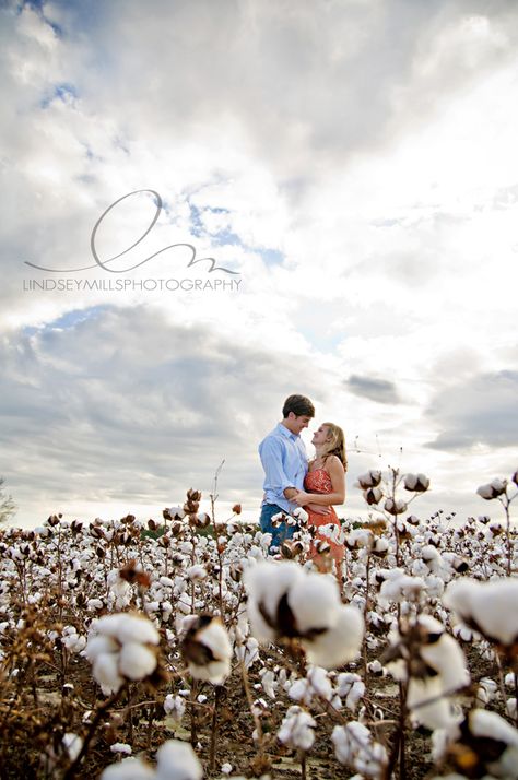 Cotton Field Photography, Cotton Pictures, Field Photography, Cotton Fields, Anniversary Pictures, Pictures Wedding, New Camera, Christmas Family Photos, Fields Photography