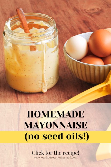 No Oil Mayonnaise Recipe, Homemade Healthy Mayo, Low Carb Mayonnaise Recipe, Mayo Alternative Healthy, Diy Mayonnaise Recipes, Simple Mayonnaise Recipe, Mayonnaise Recipe Olive Oil, Light Mayonnaise Recipe, Low Calorie Mayonnaise Recipe