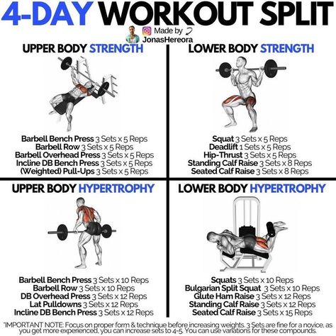 Do not forget to Follow me 4 Day Split Workout, Split Workout Routine, 4 Day Workout, Workout Split, How To Split, Full Body Workout Routine, Workout Splits, Muscle Building Workouts, Weight Training Workouts