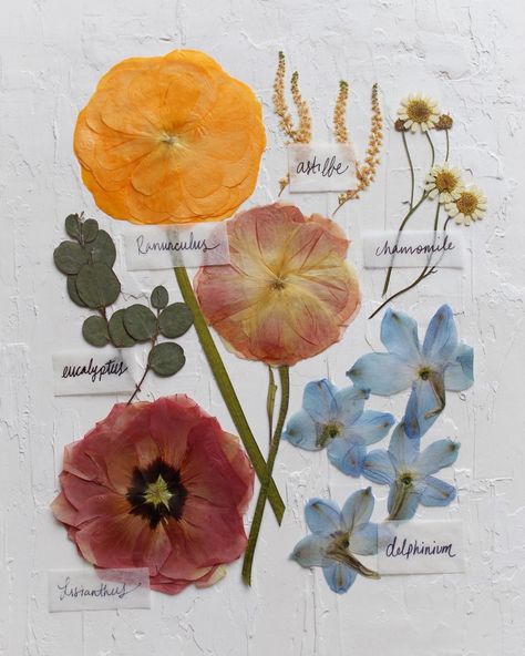 Pressed wedding flowers 💕 Pressed Wedding Flowers, Frames Flowers, Preserve Flowers, Pressed Flowers Diy, Pressed Flower Crafts, Floral Preservation, Flower Preservation, Nothing But Flowers, Pressed Flower Art