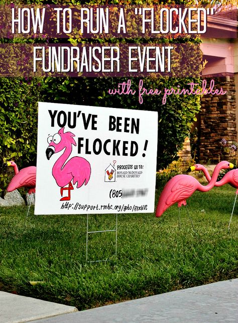 Flocked Fundraiser, Pto Fundraising Ideas, You've Been Flocked, Fundraiser Ideas School, Creative Fundraising, Charity Work Ideas, Sports Fundraisers, Unique Fundraisers, Pta Fundraising