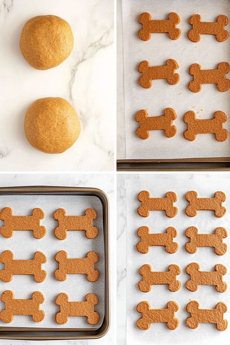 Homemade Pumpkin Dog Treats – Healthy, Easy, and Packed with Benefits Blueberry Dog Treat Recipe, Homemade Pumpkin Dog Treats, Pumpkin Applesauce, Dog Treats Homemade Pumpkin, Yogurt Bites, Pumpkin Pie Mix, Peanut Butter Dog Treats, Pumpkin Dog Treats, Healthy Blueberry