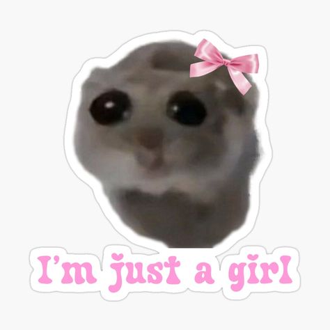 Get my art printed on awesome products. Support me at Redbubble #RBandME: https://www.redbubble.com/i/sticker/Sad-hamster-I-m-just-a-girl-by-suzancreations/159288263.EJUG5?asc=u I Am Just A Girl Sticker, Im Just A Girl Hamster, I M Just A Girl, Rave Totems, I’m Just A Girl, Silly Animal Pictures, Girls Stickers, Im Just A Girl, Best Friend Wallpaper