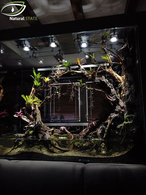 Saltwater Aquarium Setup, Aquaponics Aquarium, Water Terrarium, Wabi Kusa, Wall Aquarium, Amazing Aquariums, Aquascape Design, Reptile Room, Aquarium Setup