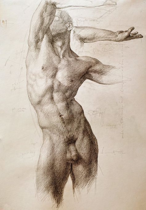 Shane Wolf, Male Body Drawing, Male Body Art, Male Figure Drawing, Human Body Drawing, Human Figure Sketches, Nude Artwork, Human Anatomy Drawing, Body Sketches