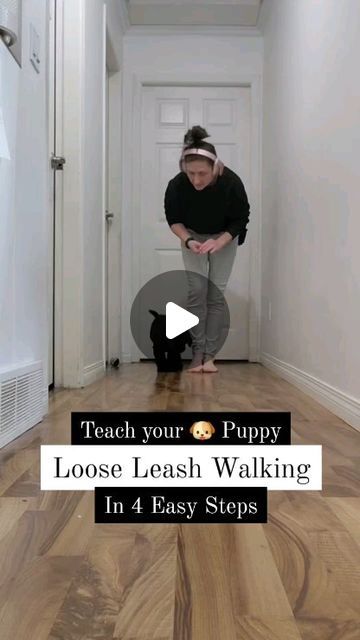 How To Train A Puppy To Walk On A Leash, Loose Leash Walking, Building Confidence, Leash Training, Puppy Training, Dog Stuff, Dog Training, Roxy, Violet