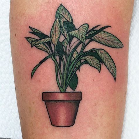 Tiny little #Aglaonema from #leontheprofessional on inner forearm 💚🌿 which plant from tv or movies would you get? Or do you have a fave… Tv Tattoo, Leon The Professional, Geisha Tattoo, Movie Tattoo, Movie Tattoos, Inner Forearm, Plant Tattoo, Tattoo Designs And Meanings, Professional Tattoo