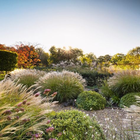 A Suffolk garden that balances formality and order with naturalistic beauty | House & Garden Tall Ornamental Grasses, Naturalistic Garden, Beauty House, Gravel Path, Rectangular Pool, House Gardens, Formal Garden, Reflecting Pool, House Of Beauty