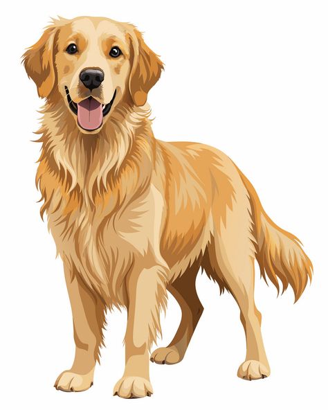 Golden Retriever Cartoon, Golden Retriever Illustration, Golden Retriever Drawing, Cute Dog Drawing, Golden Retriever Art, Dog Clip Art, Star Coloring Pages, Dog Icon, Black Labrador Retriever