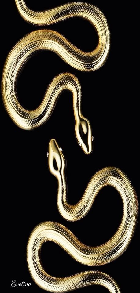 "Would you please just listen to me?" Gold Snake Aesthetic, Snake Aesthetic, Gold And Black Wallpaper, Black And Gold Aesthetic, Snake Wallpaper, Golden Snake, Snake Art, Gold Aesthetic, Gold Background