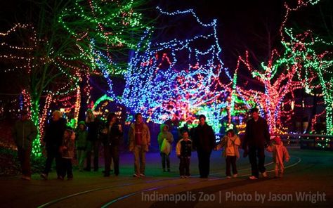 Travel | Indiana | Festival | Things To Do | Hidden Gems | Local Finds | Holiday Oregon Christmas, Best Christmas Light Displays, Oregon Garden, Coast Guard Stations, Lincoln Park Zoo, Best Christmas Lights, German Christmas Markets, Christmas Light Displays, Festivals Around The World